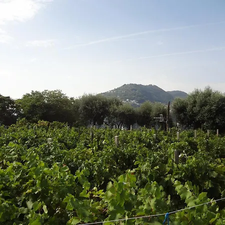 酒店 阿尔伯格伊尔莫纳斯泰罗酒店 伊斯基亚