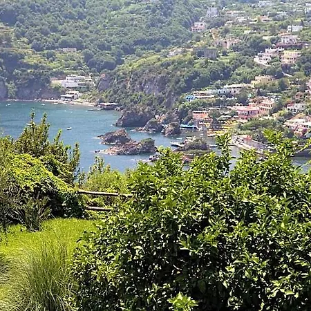 Il Monastero