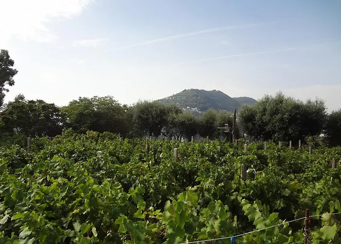 Hotel Il Monastero Ischia